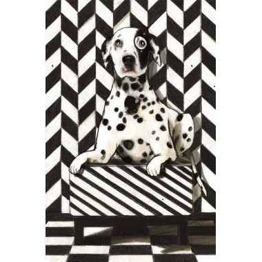 Диковинные животные. Парески Д.