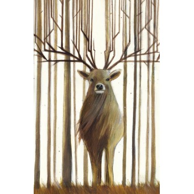 Диковинные животные. Парески Д.