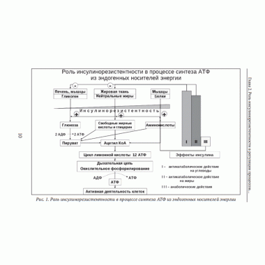 Формула жизни: законы природы и организм человека. Гордюнина С.В.
