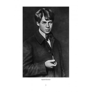 Жизнь и смерть хулигана. Сергей Есенин глазами друзей и врагов. Замостьянов А.А.