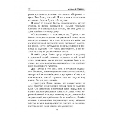 Одиночка. Гришин М.А