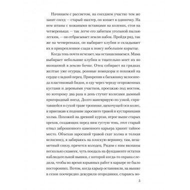 День справедливости. Чуркин Д.В.