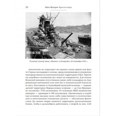 Бросок тигра: стратегическое наступление