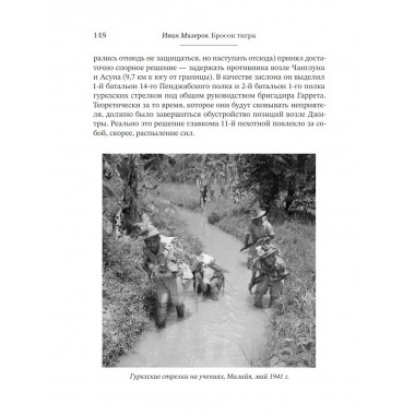 Бросок тигра: стратегическое наступление