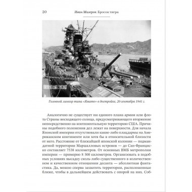 Бросок тигра: стратегическое наступление