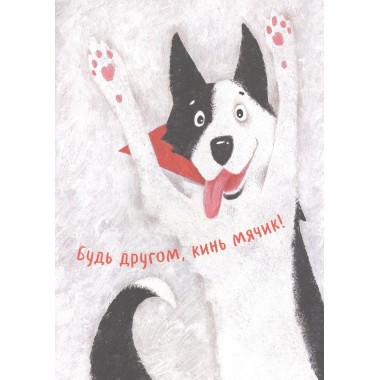 Чао, давай дружить. Антон Соя